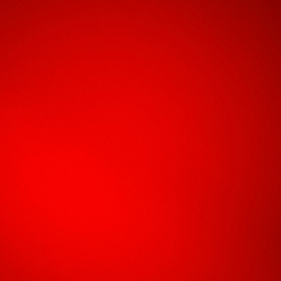 Meet your Posher, Daisy - Picture 1 of 1